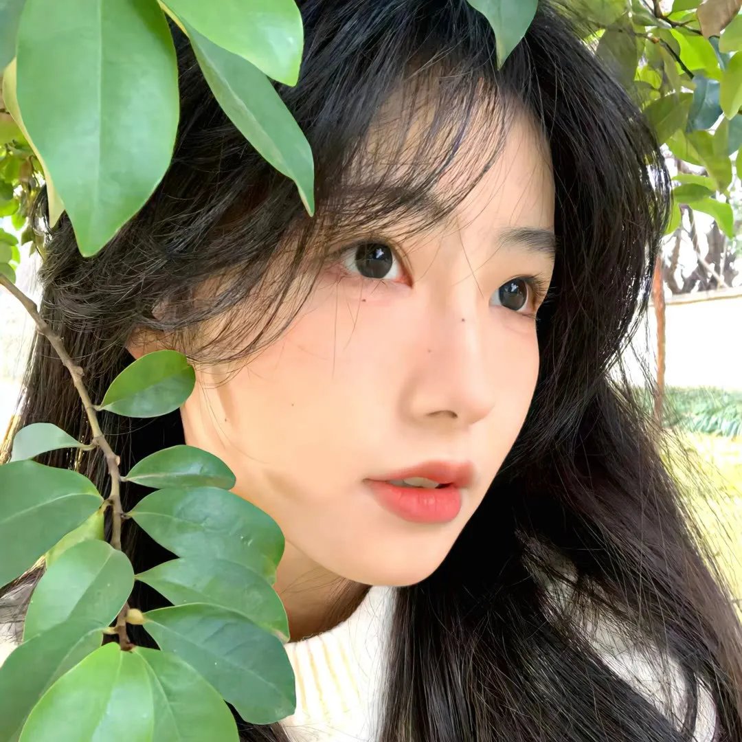 七零涅槃刺槐与锦年